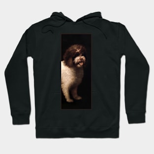 Water Spaniel by George Stubbs Hoodie